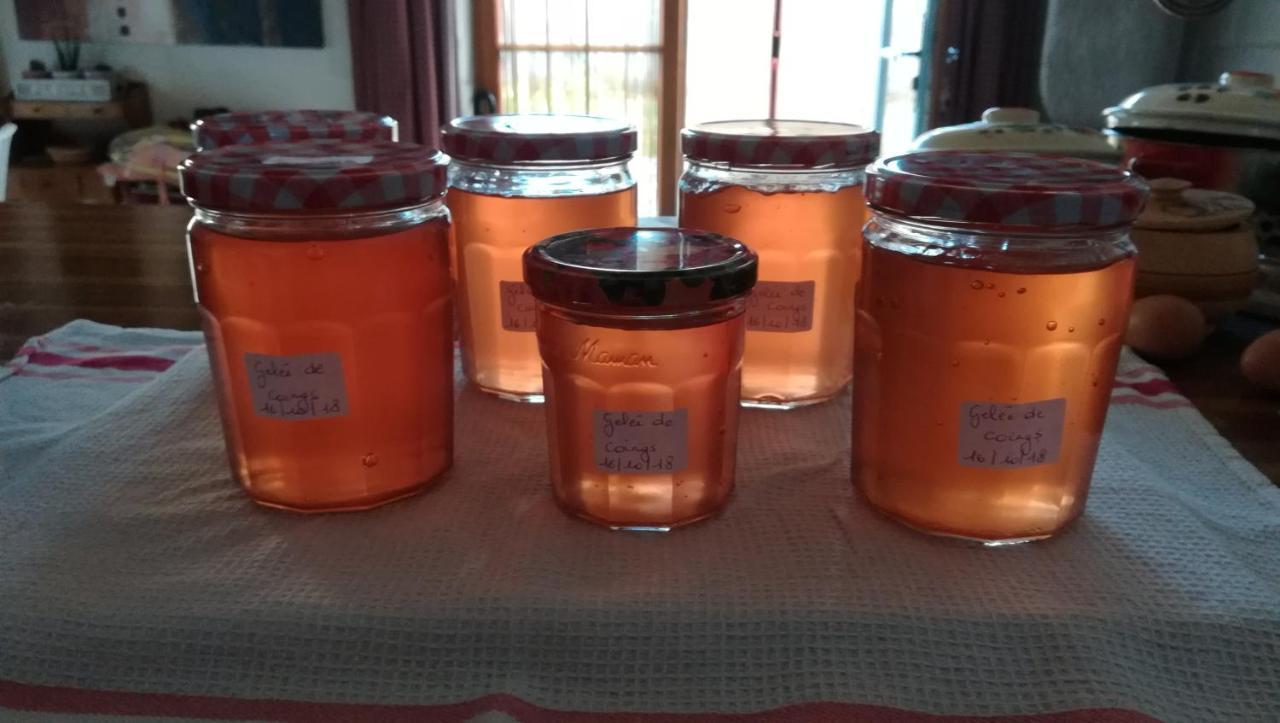 Gite Et Chambres D'Hotes Le Chene Billault Pouant エクステリア 写真