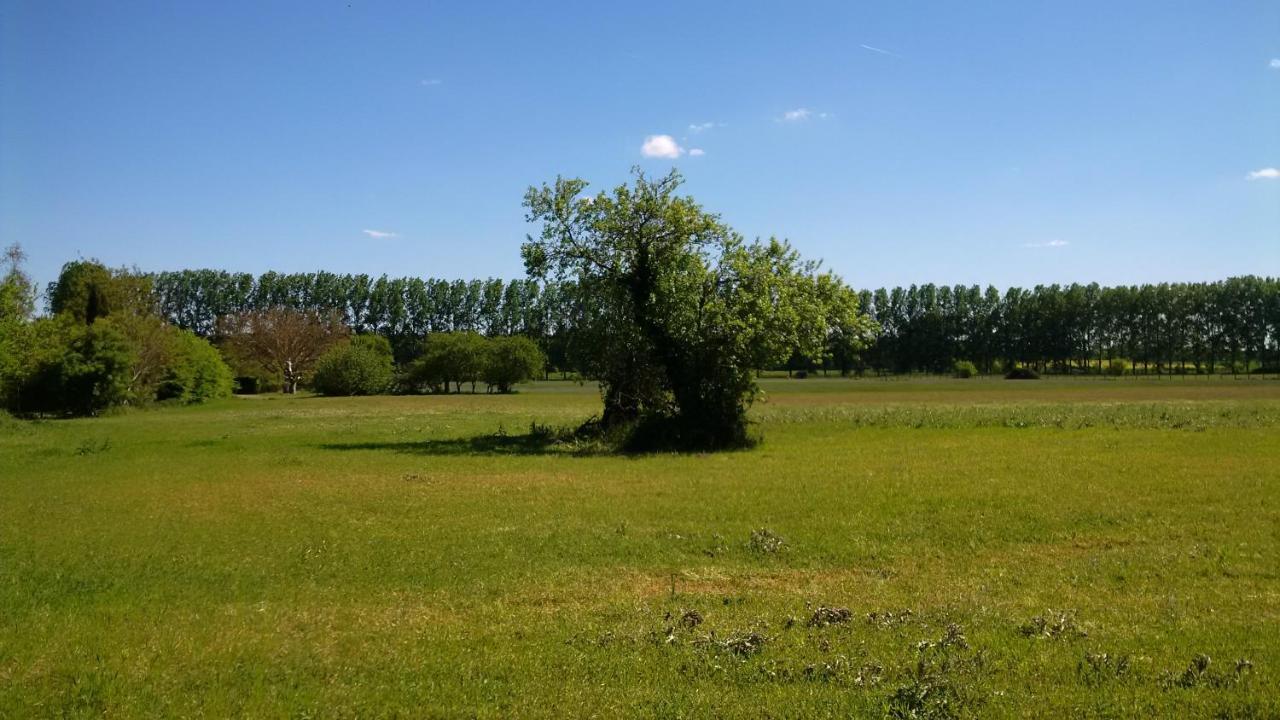 Gite Et Chambres D'Hotes Le Chene Billault Pouant エクステリア 写真